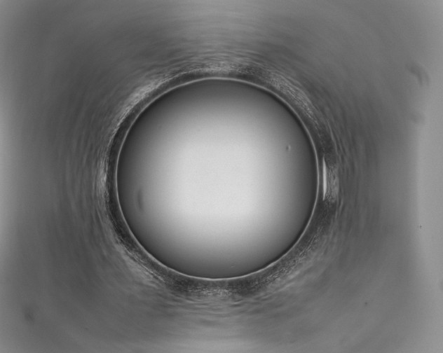 X0000111530483200907141531