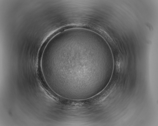 X0000111530484200907141531