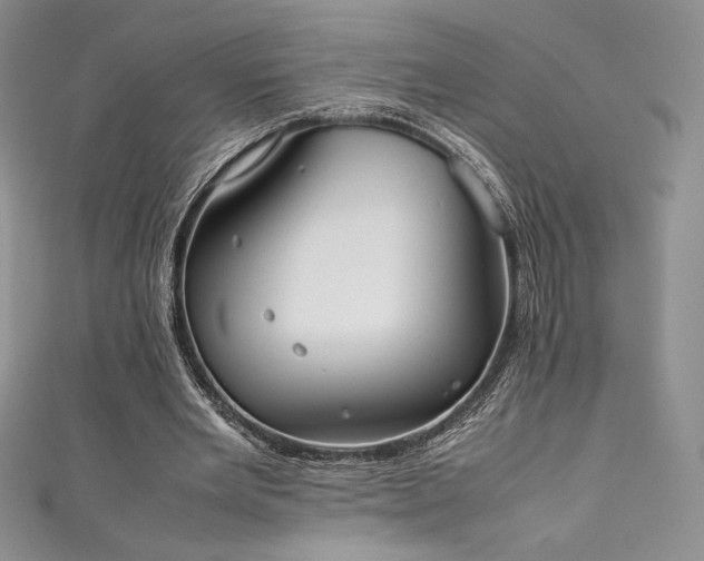 X0000111530485200907141531