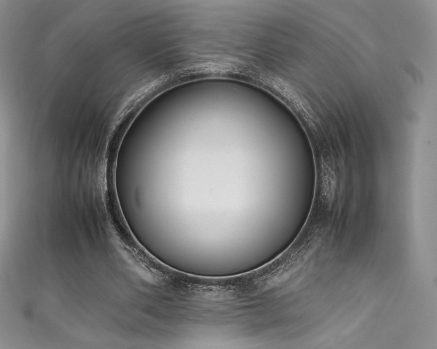 X0000111530486200907141531