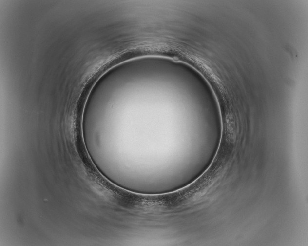 X0000111530487200907141531