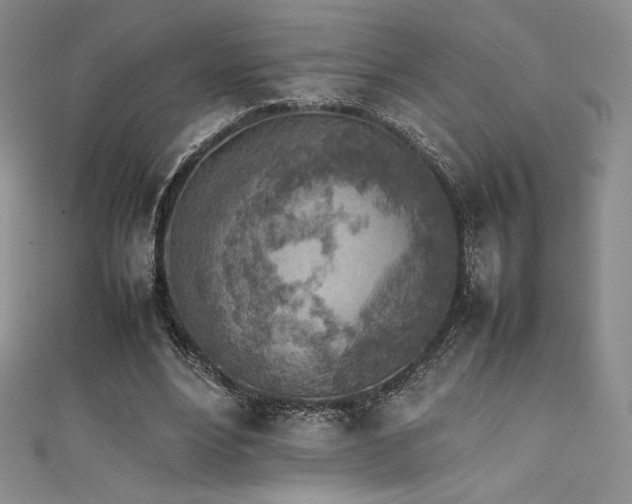 X0000111530488200907141531