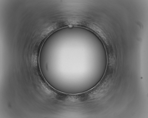 X0000111530489200907141531