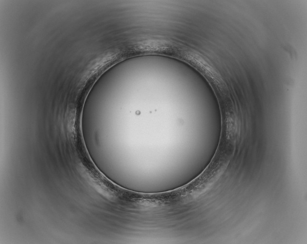 X0000111530490200907141531