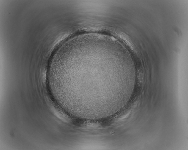 X0000111530491200907141531