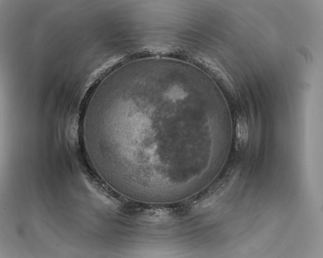 X0000111530492200907141531