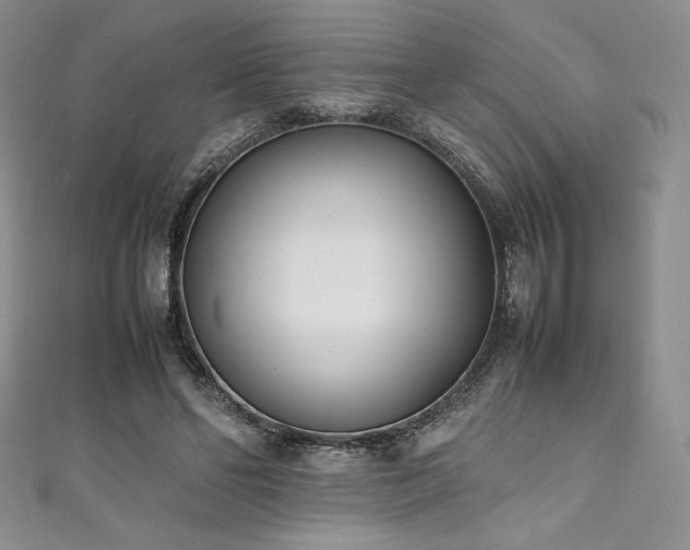 X0000111530494200907141531