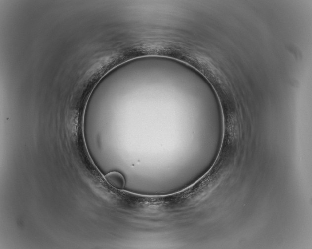 X0000111530495200907141531