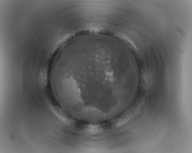 X0000111530496200907141531