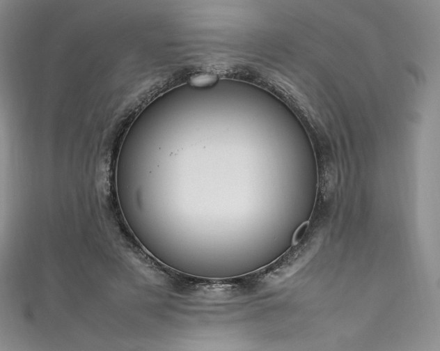 X0000111530497200907141531