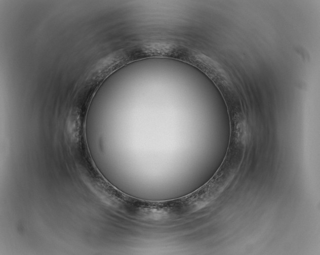 X0000111530498200907141531