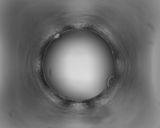 X0000111530499200907141531