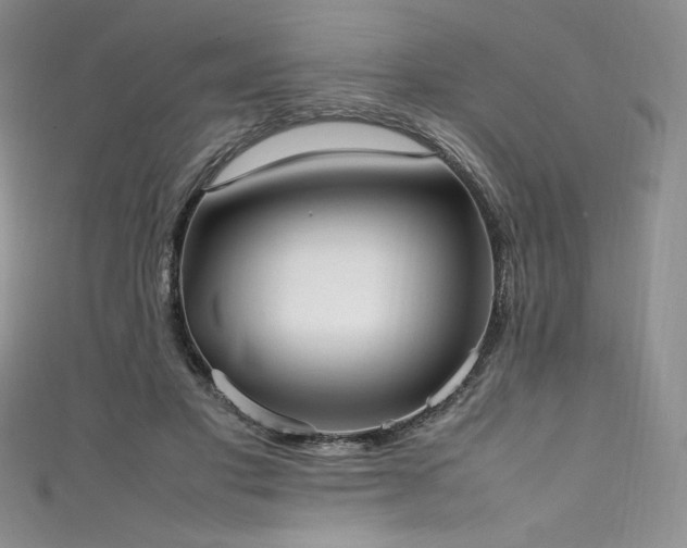 X0000111530501200907141531