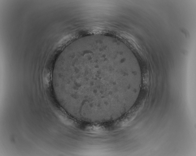 X0000111530503200907141531