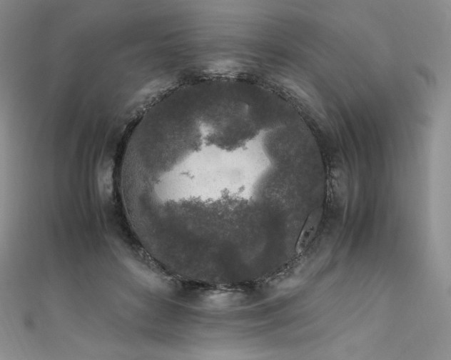 X0000111530504200907141531