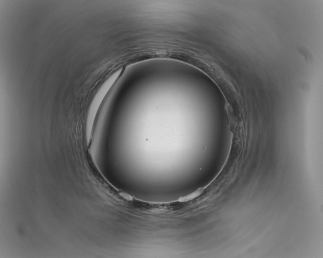 X0000111530505200907141531