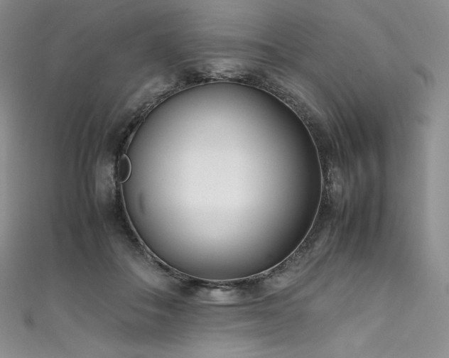 X0000111530506200907141531