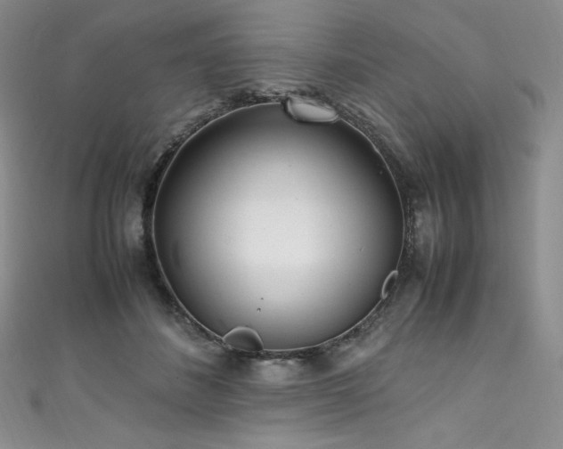 X0000111530508200907141531