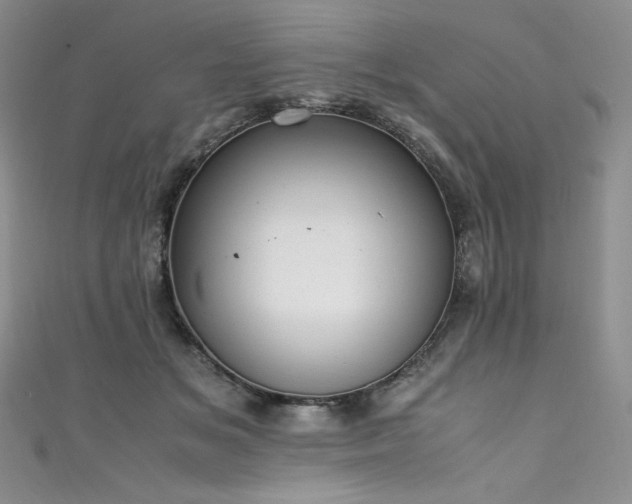 X0000111530509200907141531