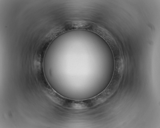 X0000111530510200907141531