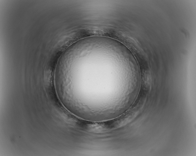 X0000111530511200907141531