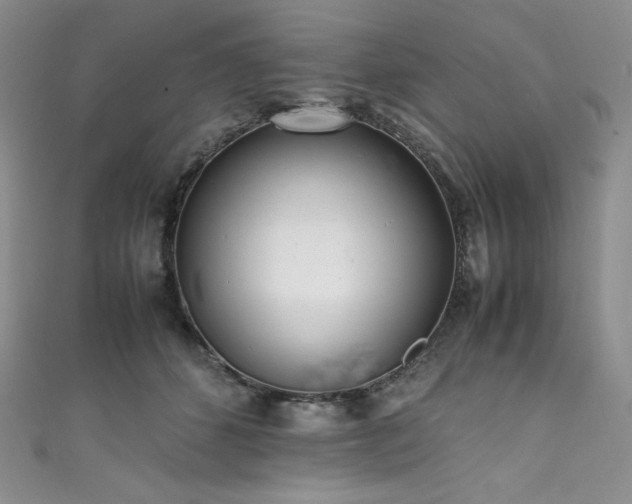 X0000111530512200907141531