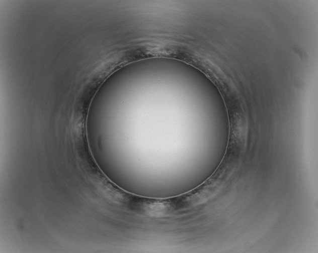 X0000111530513200907141531