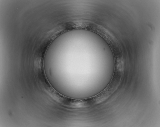 X0000111530514200907141531