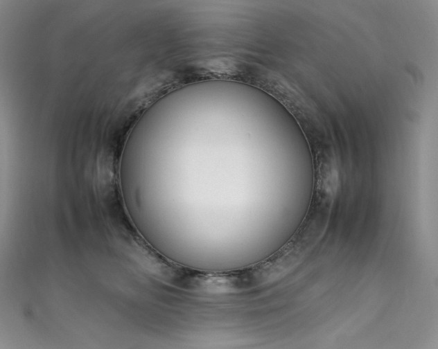 X0000111530518200907141531