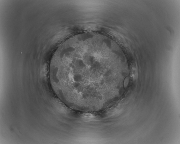 X0000111530519200907141531