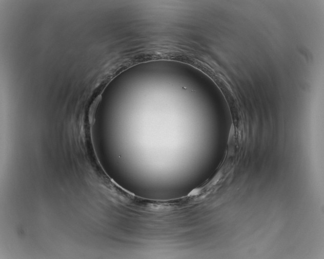 X0000111530520200907141531