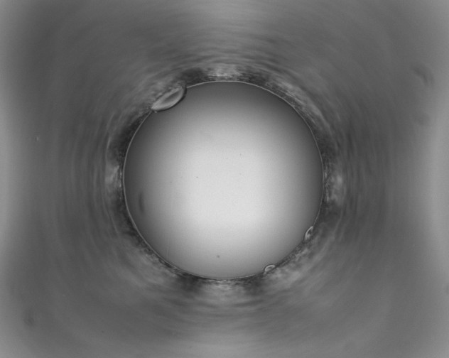 X0000111530521200907141531