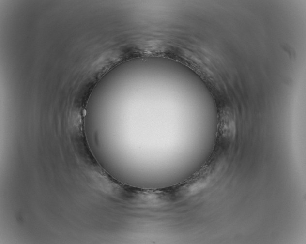 X0000111530523200907141530