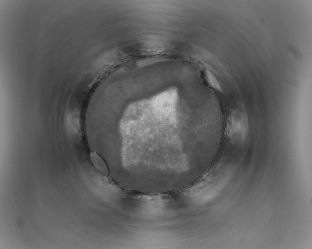 X0000111530524200907141530