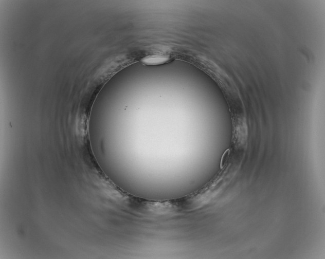 X0000111530525200907141530