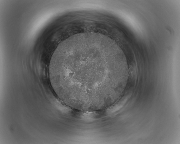 X0000111530527200907141530