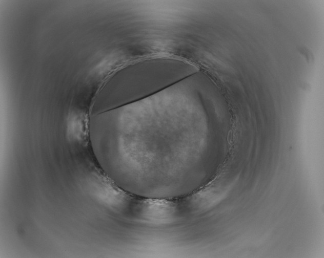 X0000111530528200907141530