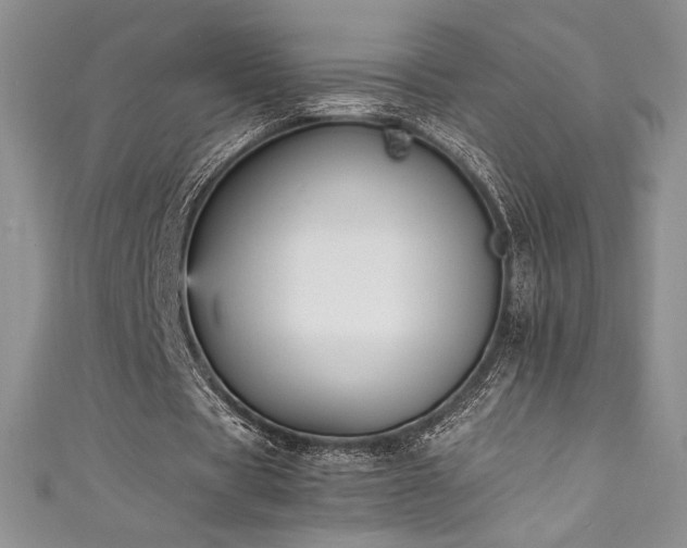 X0000111530529200907141530