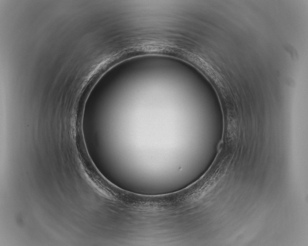 X0000111530530200907141530