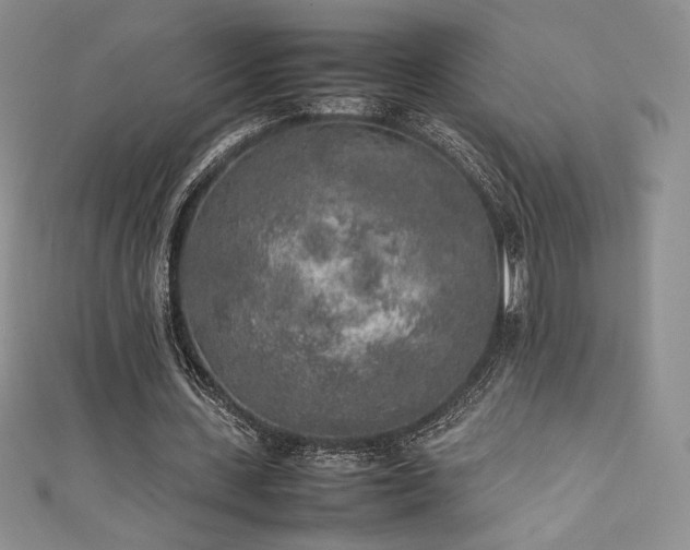 X0000111530531200907141530