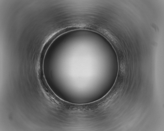 X0000111530532200907141530