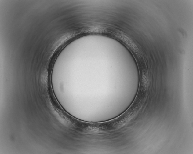 X0000111530534200907141530