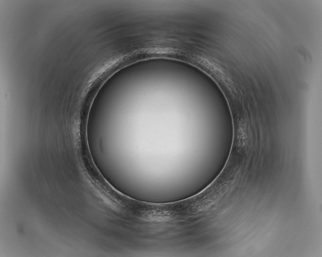 X0000111530535200907141530