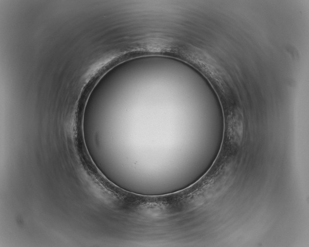 X0000111530536200907141530