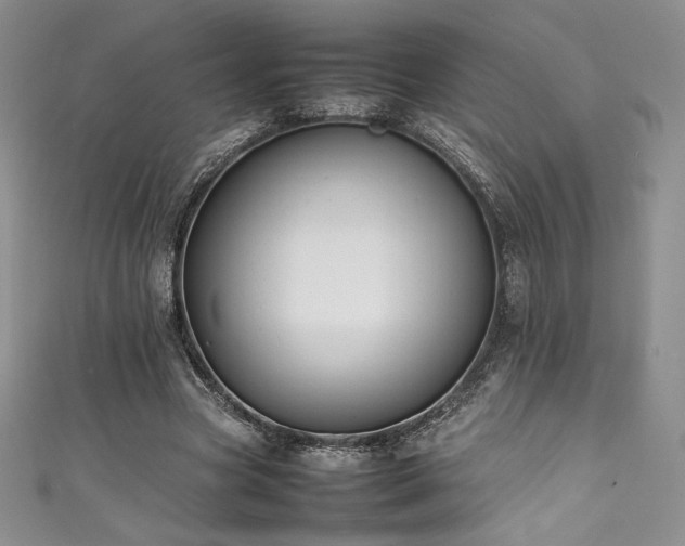 X0000111530537200907141530