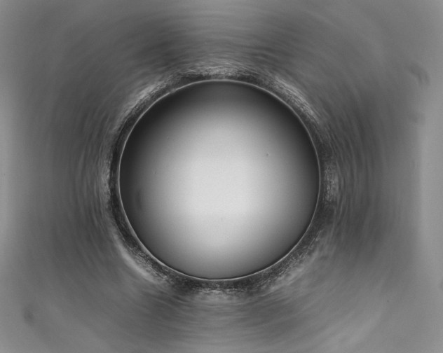 X0000111530538200907141530