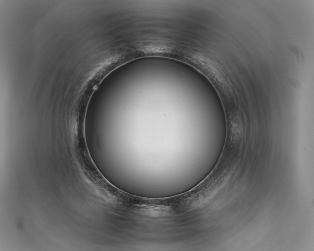 X0000111530539200907141530