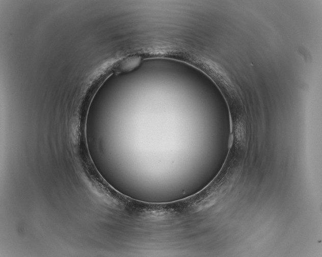 X0000111530540200907141530