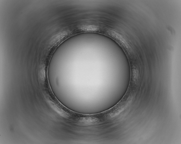 X0000111530541200907141530