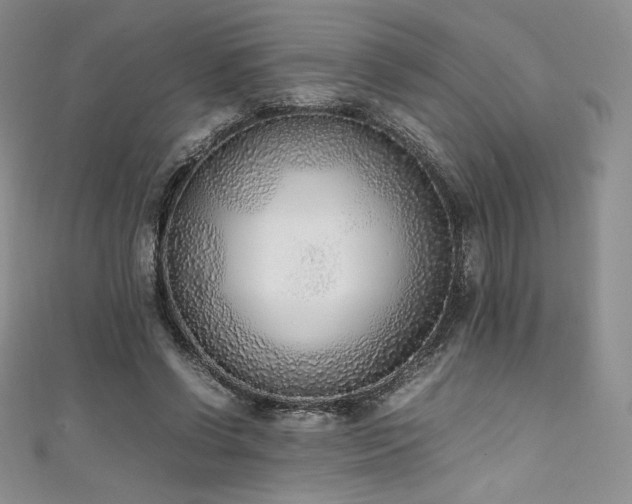 X0000111530542200907141530